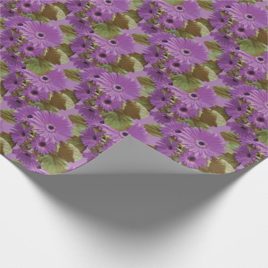 Gerbera Daisies lila Salbei-Grünpapier Geschenkpapier (Ecke)