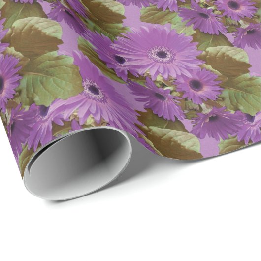 Gerbera Daisies lila Salbei-Grünpapier Geschenkpapier (Rolleneckpunkt)