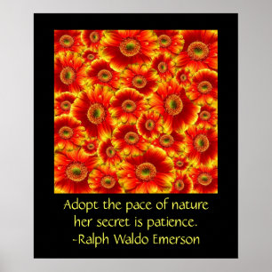 Gerbera Daisies mit Zitat Poster