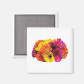 Gerbera Daisies Mixed Colors Magnet (Vorderseite/Rückseite)