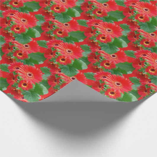 Gerbera Daisies Packpapier (Ecke)