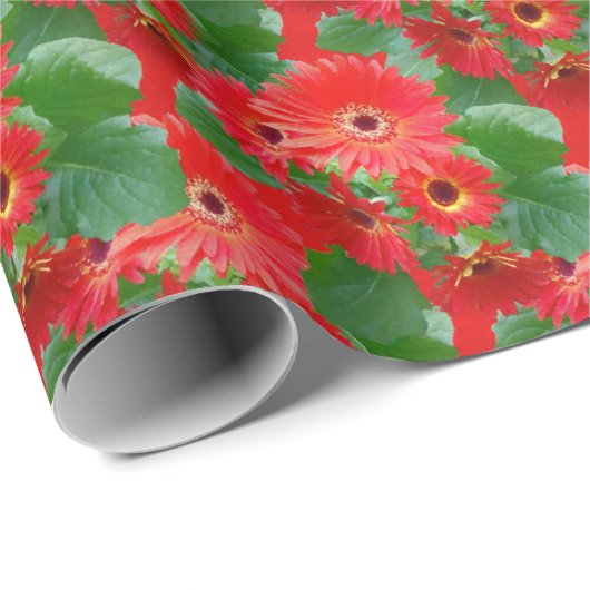 Gerbera Daisies Packpapier (Rolleneckpunkt)