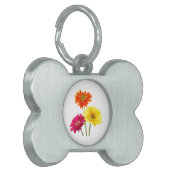 Gerbera Daisies Tiermarke (Vorderseite links)