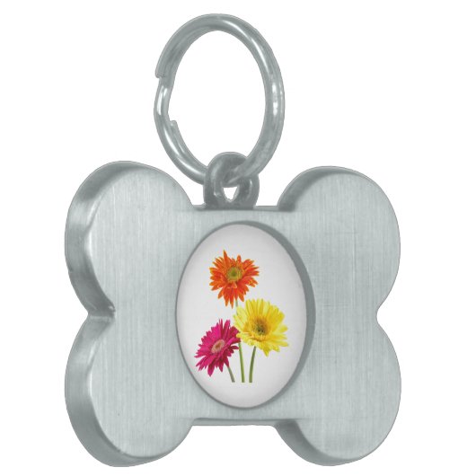 Gerbera Daisies Tiermarke (Vorderseite links)