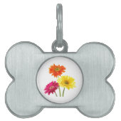 Gerbera Daisies Tiermarke (Vorderseite)
