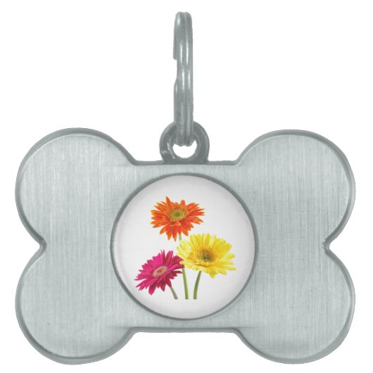 Gerbera Daisies Tiermarke (Vorderseite)