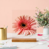 Gerbera Daisy Acrylschild (Hochzeit)