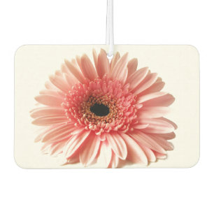 Gerbera-Daisy Autolufterfrischer