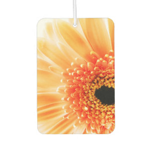 Gerbera-Daisy Autolufterfrischer
