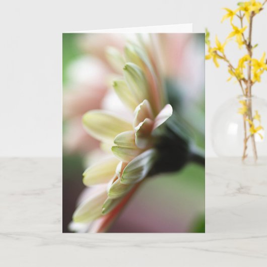 Gerbera Daisy Birthday Card Karte (Gelbe Blume)