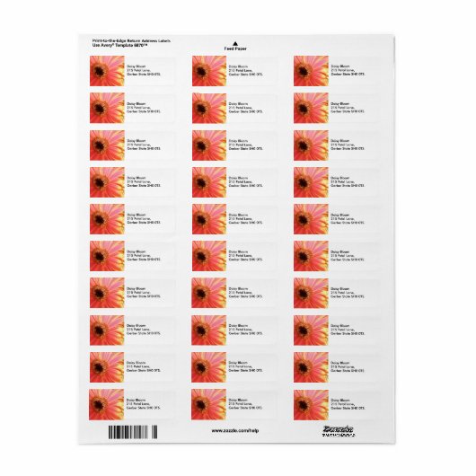 Gerbera Daisy Blume Address Labels (Vorne)