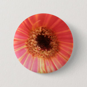 Gerbera Daisy Blume Button