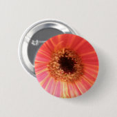 Gerbera Daisy Blume Button (Vorne & Hinten)
