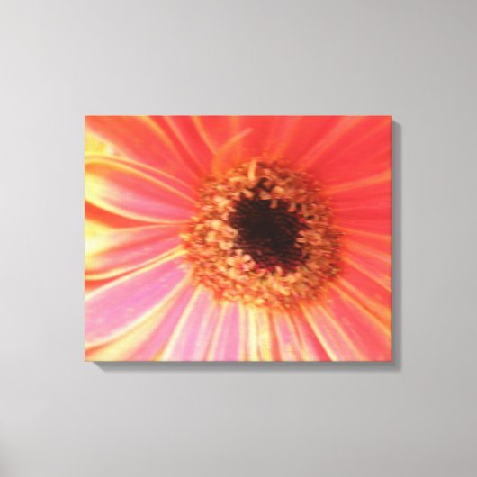 Gerbera Daisy Blume Canvas Print Leinwanddruck (Vorderseite)