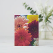 Gerbera Daisy Blume Foto Art Postcard Postkarte (Stehend Vorderseite)