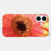Gerbera Daisy Blume iPhone 5 Fall Case-Mate iPhone Hülle (Rückseite (Horizontal))