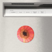 Gerbera Daisy Blume Magnet (In Situ (Geschirrspüler))