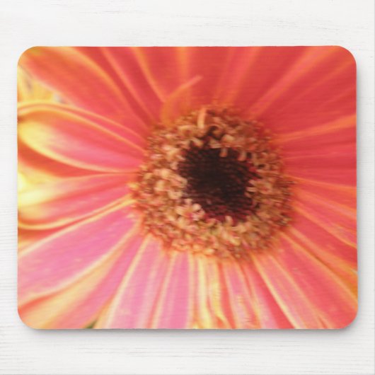 Gerbera Daisy Blume Mousepad (Vorne)