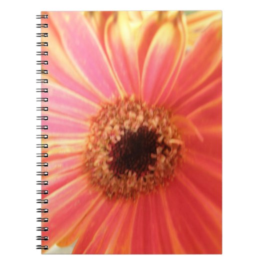 Gerbera Daisy Blume Notebook Notizblock (Vorderseite)