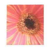 Gerbera Daisy Blume Notepad Notizblock (Vorderseite)