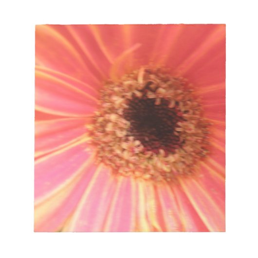 Gerbera Daisy Blume Notepad Notizblock (Vorderseite)