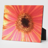 Gerbera Daisy Blume Plaque Fotoplatte (Seite)