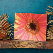 Gerbera Daisy Blume Plaque Fotoplatte (Seite)