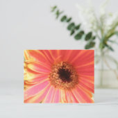 Gerbera Daisy Blume Postcard Postkarte (Stehend Vorderseite)