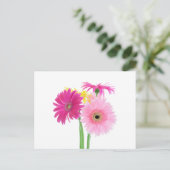 Gerbera Daisy Blume Postkarte (Stehend Vorderseite)