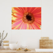 Gerbera Daisy Blume Print Poster (Küche)
