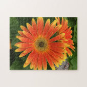 Gerbera Daisy Blume Puzzle (Horizontal)
