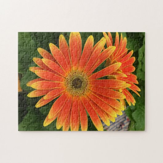 Gerbera Daisy Blume Puzzle (Horizontal)