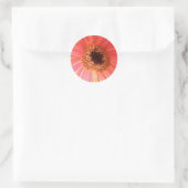 Gerbera Daisy Blume Stickers (Tasche)