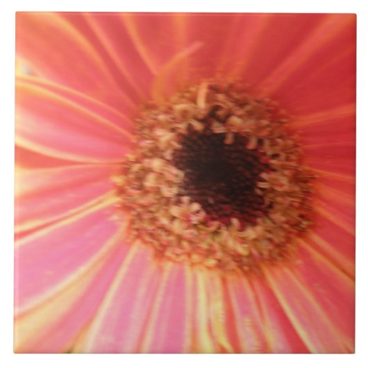 Gerbera Daisy Blume Tile Fliese (Vorderseite)
