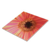 Gerbera Daisy Blume Tile Fliese (Seite)