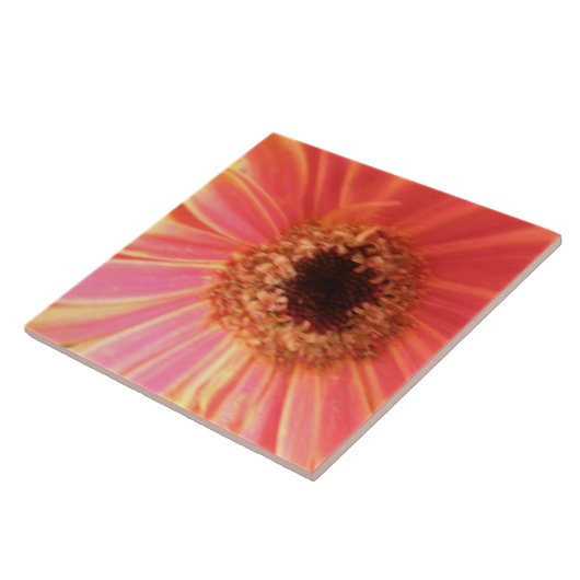 Gerbera Daisy Blume Tile Fliese (Seite)