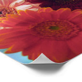 Gerbera Daisy Blume Wall Art Print Poster (Ecke)