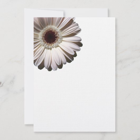 Gerbera Daisy Brautparty Einladung (Rückseite)