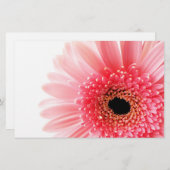Gerbera Daisy Briefpapier (Vorne/Hinten)