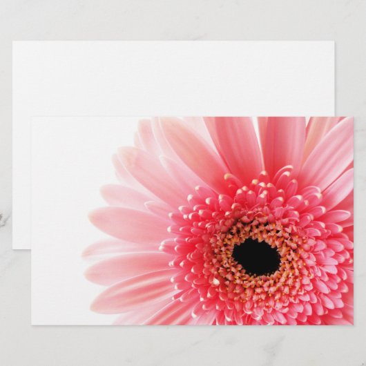 Gerbera Daisy Briefpapier (Vorne/Hinten)
