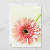 Gerbera Daisy Dankeskarte (Vorderseite)