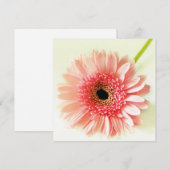 Gerbera Daisy Einladung (Vorne/Hinten)