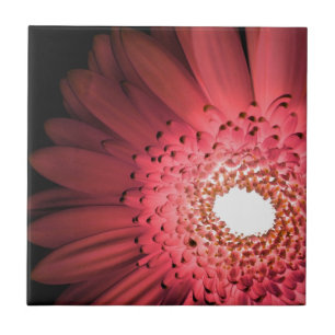 Gerbera Daisy Fliese