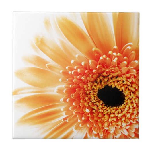 Gerbera Daisy Fliese (Vorderseite)