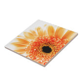 Gerbera Daisy Fliese (Seite)