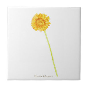 Gerbera daisy fliese