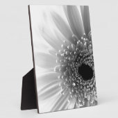 Gerbera Daisy Fotoplatte (Seite)