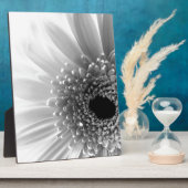 Gerbera Daisy Fotoplatte (Seite)