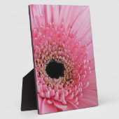 Gerbera Daisy Fotoplatte (Seite)