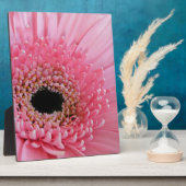 Gerbera Daisy Fotoplatte (Seite)